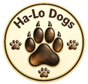halodogs